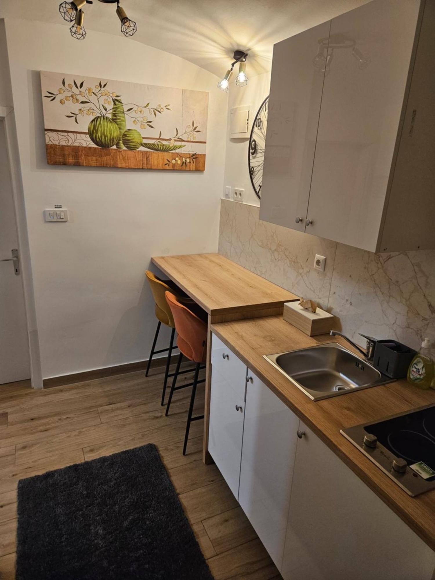 Apartment Maja - Strict Center Of Zagabria Esterno foto